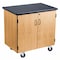 National Public Seating NPSMobile Sci Cabinet Blk Laminate Top MSC2436 - alternate 1
